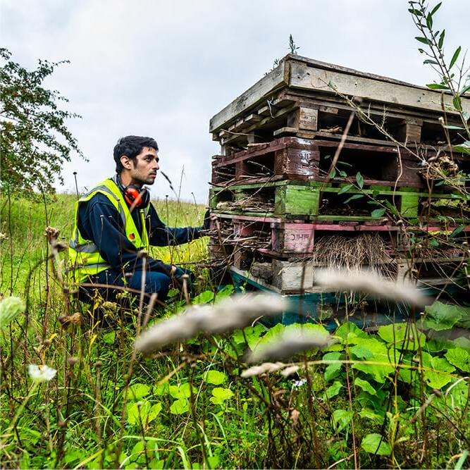 A Mitie employee in a meadow, wearing a high vis jacket, 蹲在一堆旧木托盘旁边，变成了一个野生动物环境